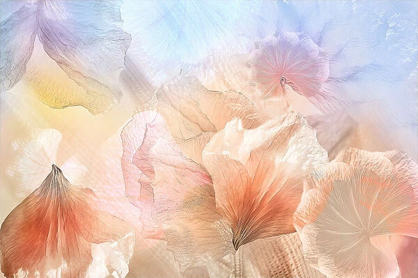 Ethereal flowers