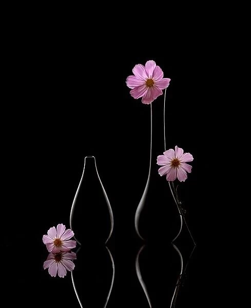 Flowers and vases