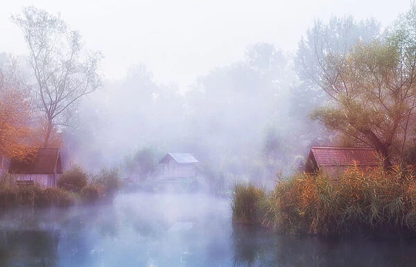 Foggy Mornings on the Lake