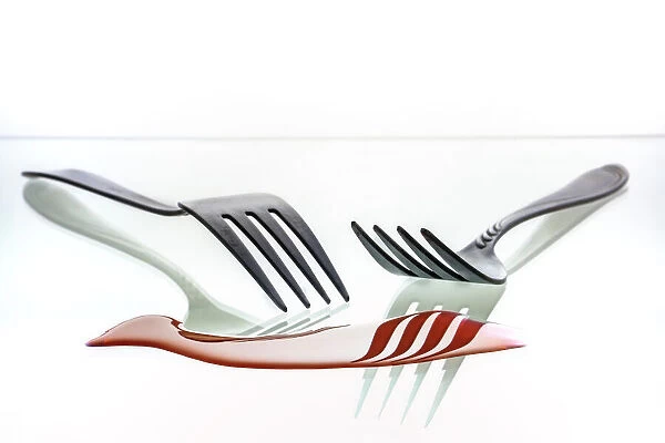 The Forks. View of two forks with reflection and on white background. Tom Pavlasek