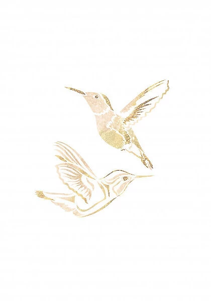 Gold Hummingbird Line art Silhouettes 2