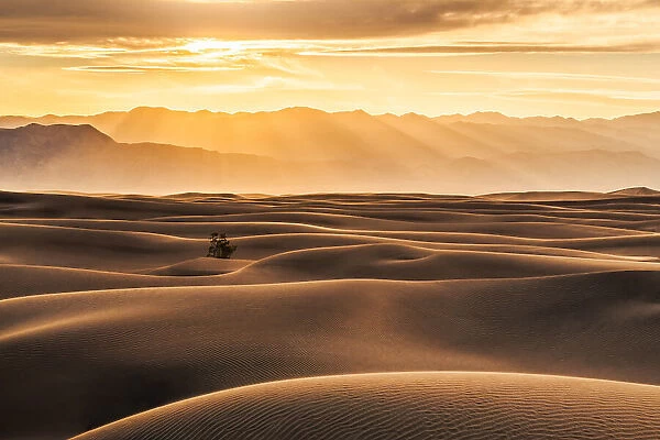 Golden Rays over Sand Dunes