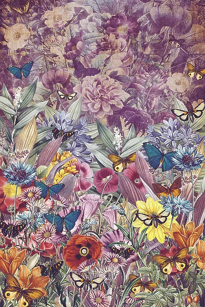 Kaleidoscope of Butterflies (Collective Nouns)