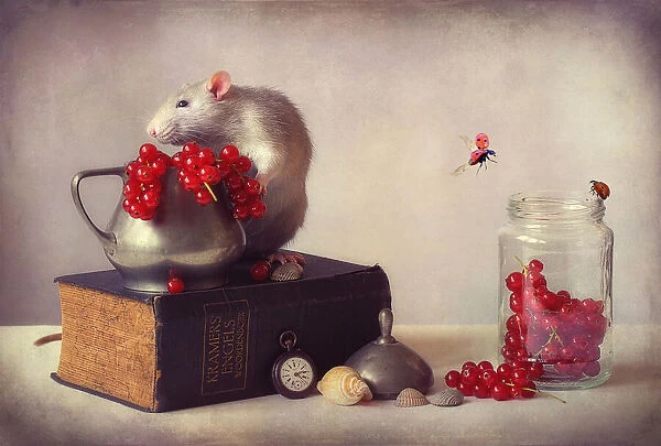 Still life with Jimmy and ladybirds