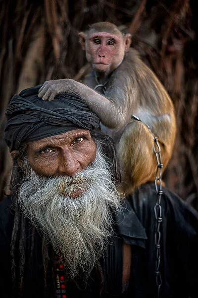 Monkey & Sadhu