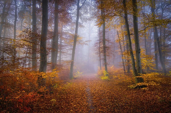 October Trail
