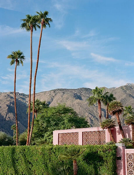 Palm Springs Pink House
