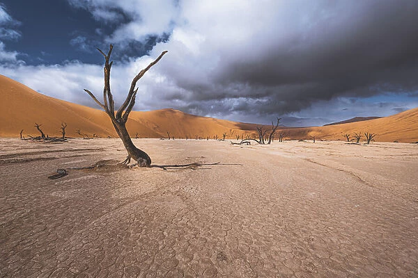 The past life of Deadvlei