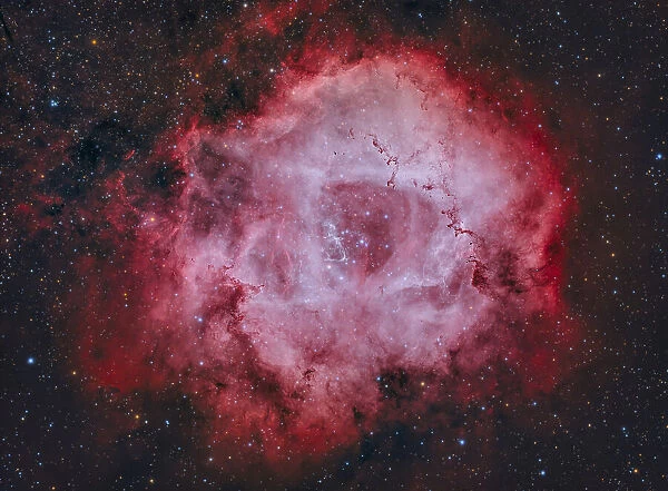 Roseta Nebula