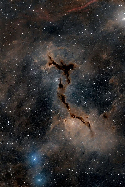 The Seahorse Nebula