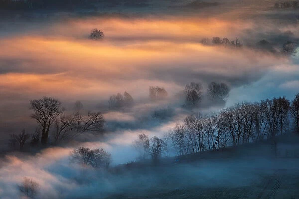 Sunrise light in the foggy valley
