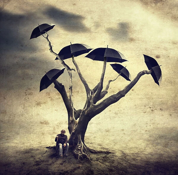 Waiting man and the umbrella tree