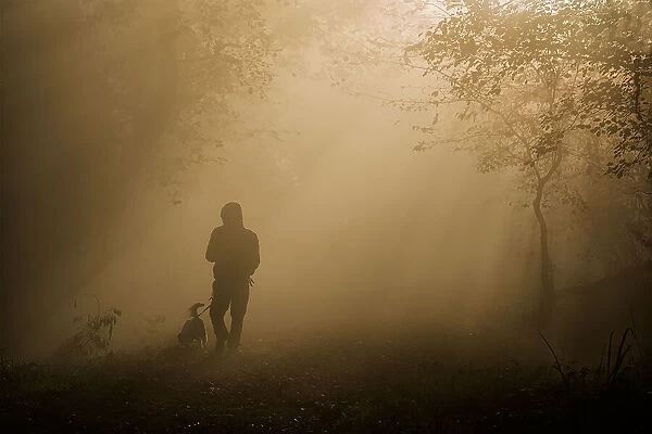 a walk in the fog