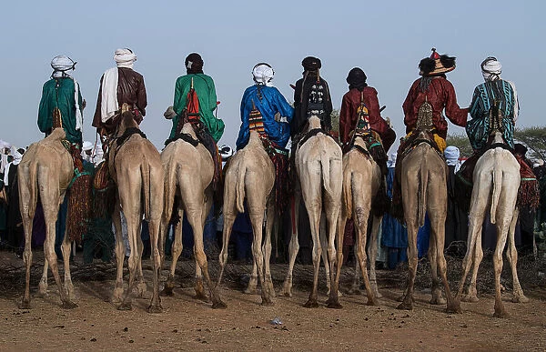 Watching the gerewol festival from the camels - Niger