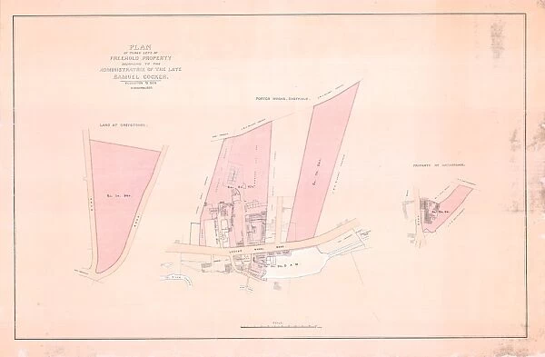 Plan of three lots of freehold property belonging to the administratrix of the late Samuel Cocker, 1850
