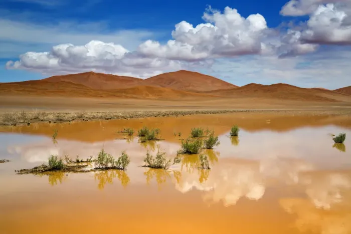 Framed Print : Recent Rain Pool Print, Sossusvlei Landscape Framed Print : Recent Rain Pool Print, Sossusvlei Landscape