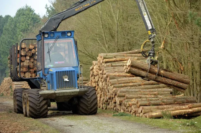 Framed Print : Forestry workers with forwarder machine, removing felled timber from Dunwich Forest Print