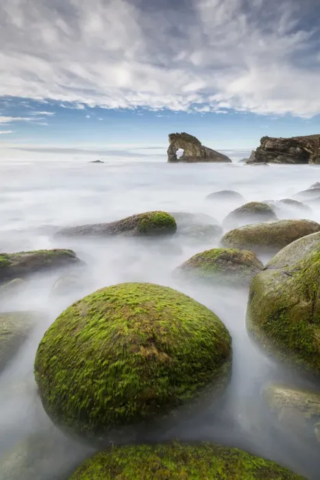 Framed Print : Seaweed-covered rock print with Gaada Stack in the background Framed Print : Seaweed-covered rock print with Gaada Stack in the background