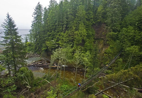 Hikers crossing a thin footbridge over a river. The West Coast Trail, Pacific Rim National Park