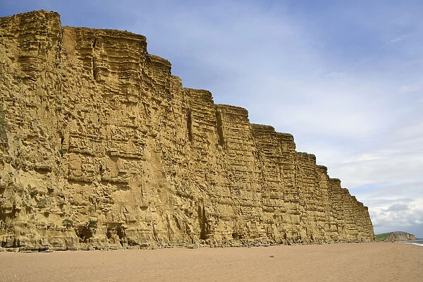 Sandstone cliffs at West Bay, Jurassic coast, Bridport, Dorset, UK, May