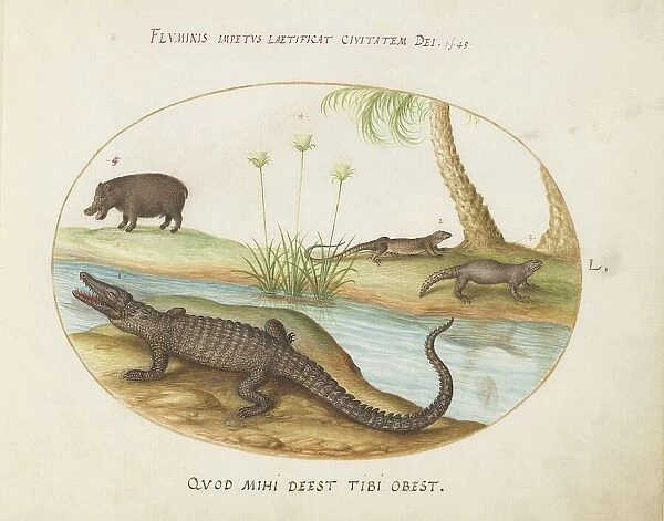 Animalia Qvadrvpedia et Reptilia (Terra): Plate L, c. 1575 / 1580. Creator: Joris Hoefnagel
