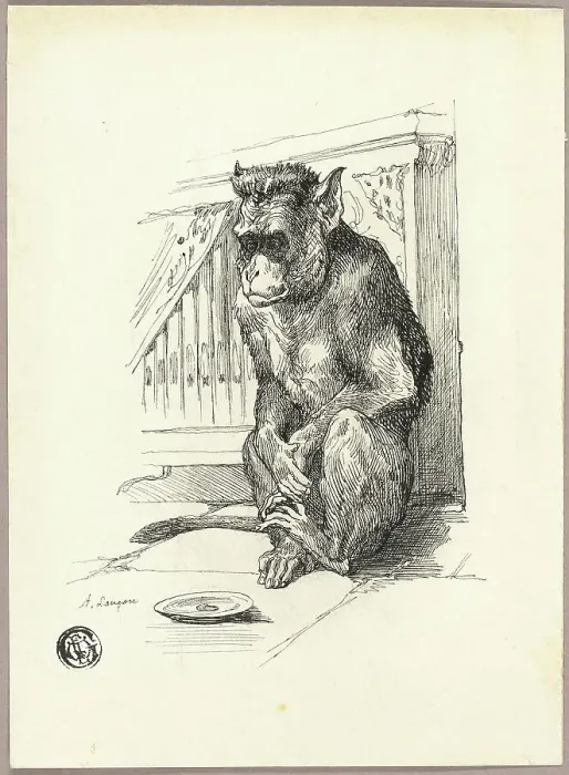 Framed Print : Begging Monkey Print Framed Print : Begging Monkey Print