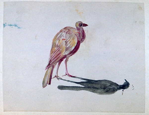 Bird, 1820-1876. Artist: George Sand