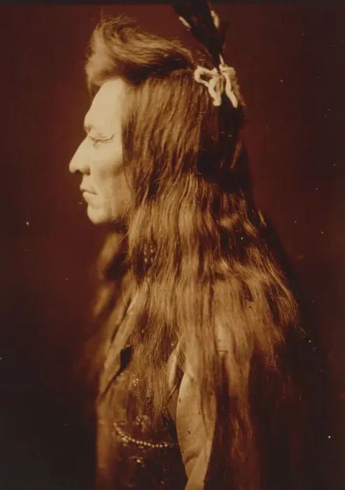 Framed Print : Black Eagle Print, c1905
