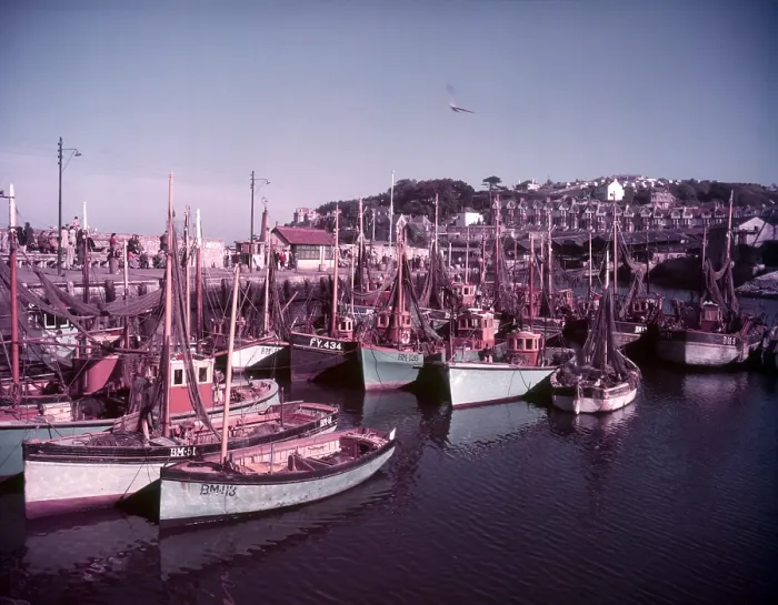 Framed Print : Boats in Brixham Harbour Print, c1955 Framed Print : Boats in Brixham Harbour Print, c1955