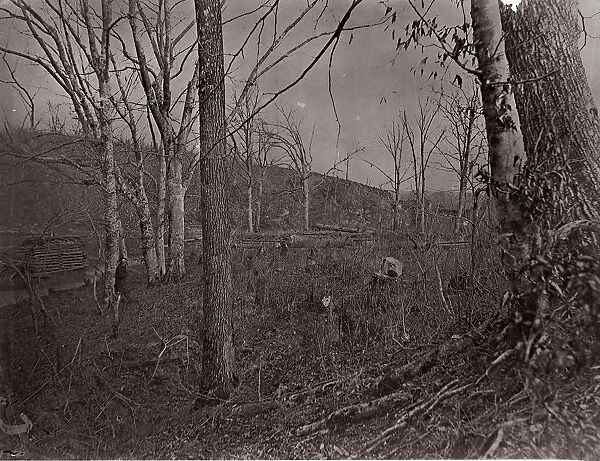 Bull Run, Virginia, 1861-62. Creator: George N. Barnard