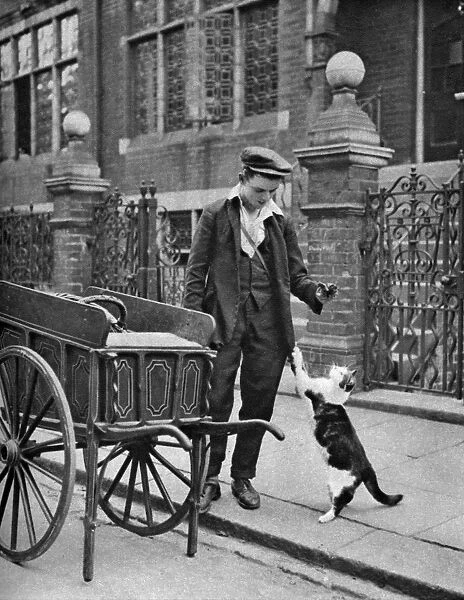 Cats meat man, London, 1926-1927. Artist: McLeish