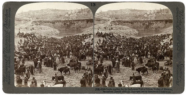 Cattle market day, in the lower pool of Gihon, Valley of Hinnom, Jerusalem, Palestine, 1900. Artist: Underwood & Underwood