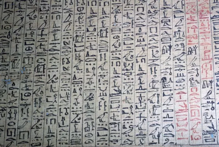 Framed Print : Cursive Hieroglyphic Script Print from a Book of the Dead Framed Print : Cursive Hieroglyphic Script Print from a Book of the Dead