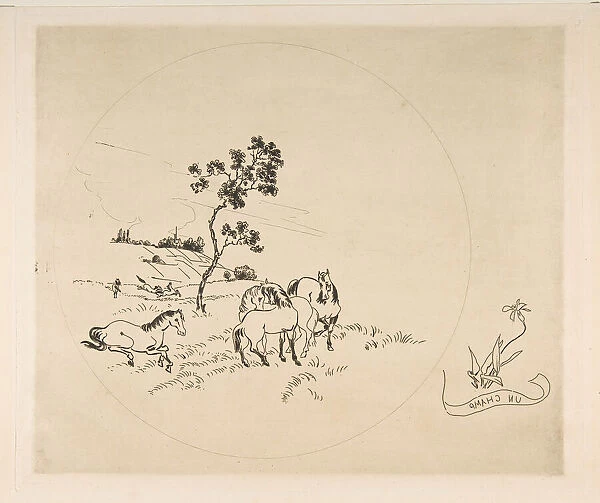 Decoration for a Plate: A Field, 1870. Creator: Felix Bracquemond