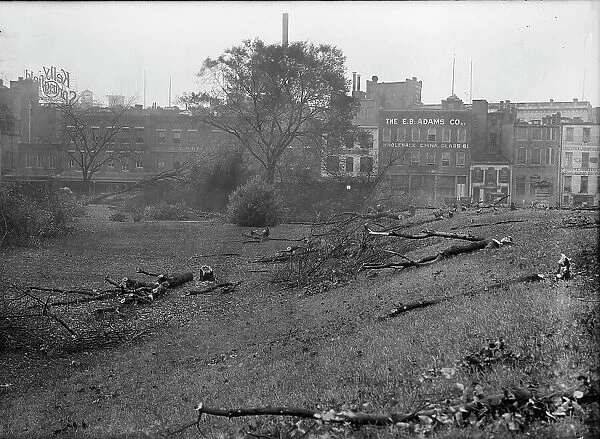 District of Columbia Parks - Cutting Trees On Mall Sites For War Buildings, 1917. Creator: Harris & Ewing. District of Columbia Parks - Cutting Trees On Mall Sites For War Buildings, 1917. Creator: Harris & Ewing