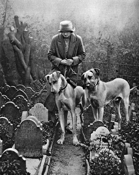 Dog cemetery, Victoria Gate, Bayswater, London, 1926-1927