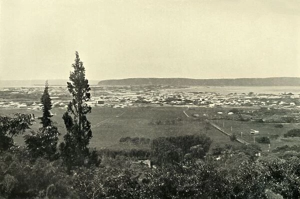 Durban, Natal, 1901. Creator: Wilson