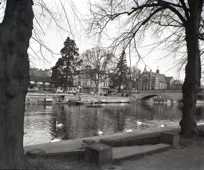 Framed Print : Evesham Print, c1955: A Vintage Scene of Swans on the River Avon Framed Print : Evesham Print, c1955: A Vintage Scene of Swans on the River Avon