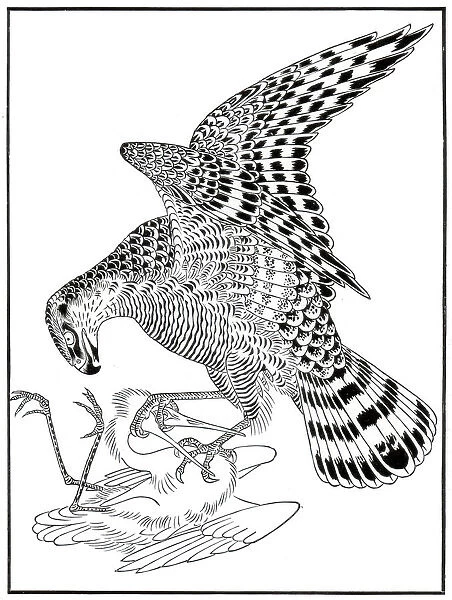 Falcon and egret, 16th century (1886)