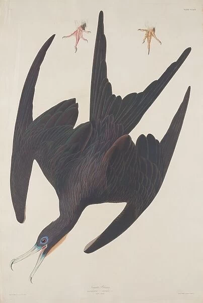 Frigate Pelican, 1835. Creator: Robert Havell