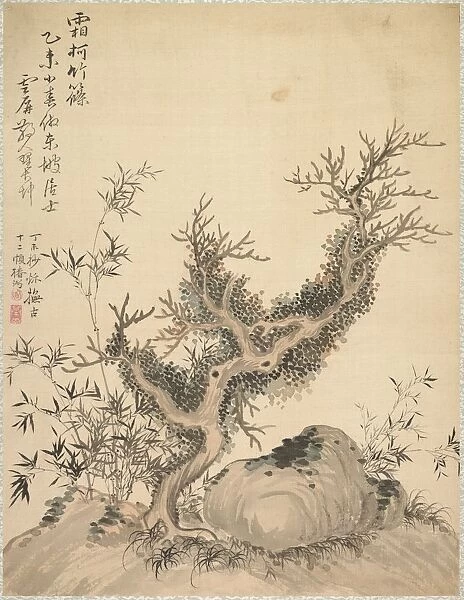 Frosted Branches and Dwarf Bamboo, 1847. Creator: Tsubaki Chinzan (Japanese, 1801-1854)