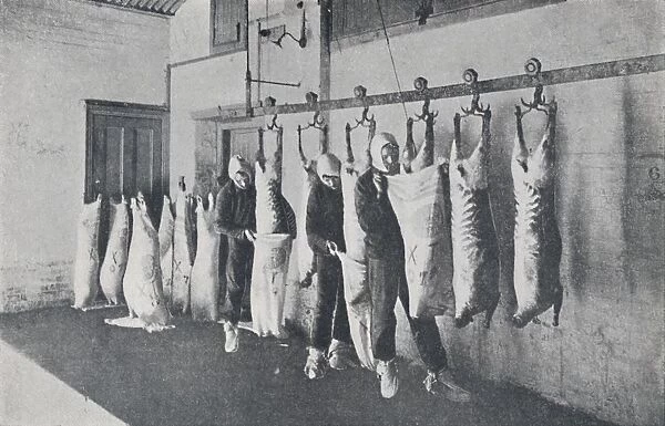 Frozen Meat, 1923. Creator: Unknown