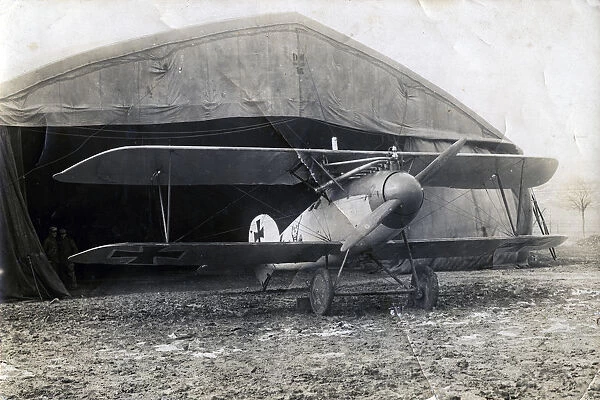 German Albatros DV, Souilly, France, 2 January 1918