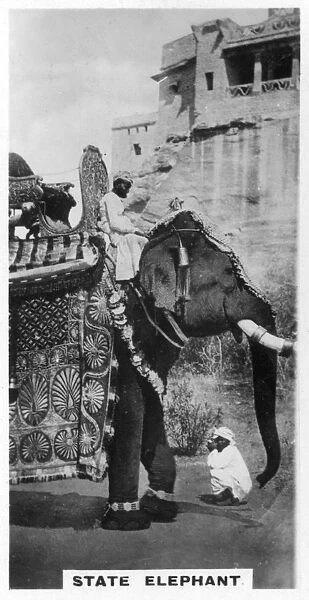 Government elephant in state costume, South India, c1925