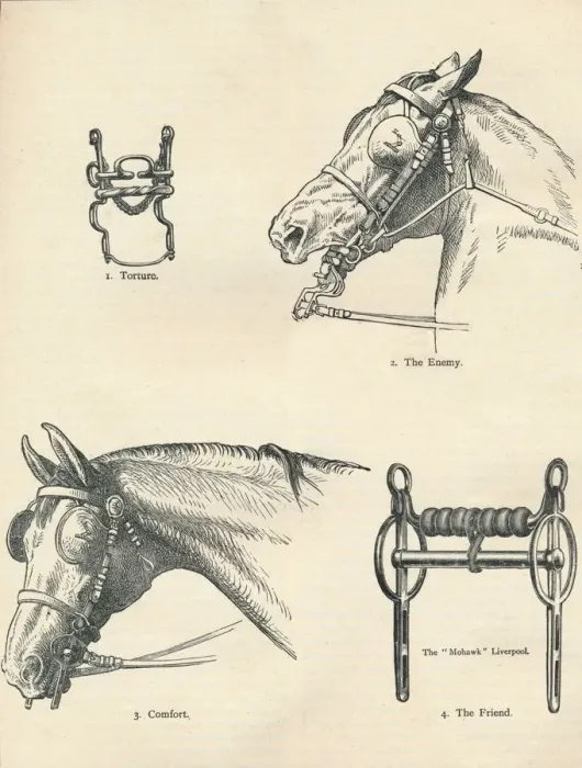 Framed Print : Horse Bits Print, c1909-1910 Engraving