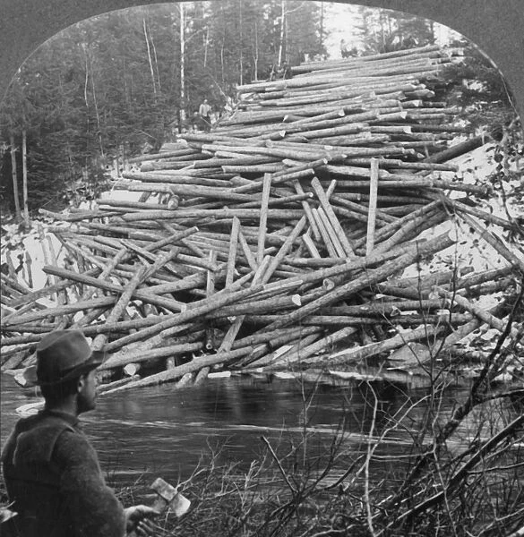 Logs from the Forest Delivered at the Stream, Aroostook County, Me. c1930s. Creator: Unknown