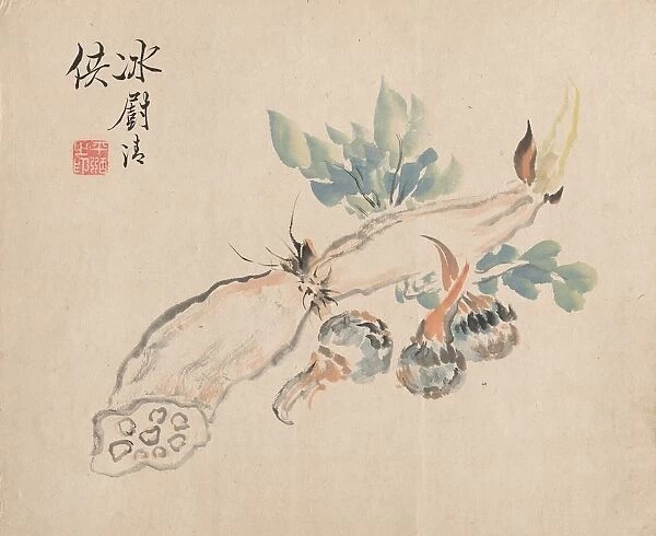 Lotus Root and Adders Tongue. Creator: Tsubaki Chinzan (Japanese, 1801-1854)