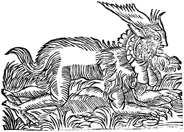 Lycanthropy: forest demon captured in Germany in 1531 (1669)