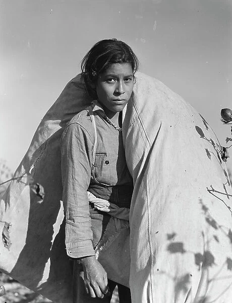 Mexican cotton picker, Southern San Joaquin Valley, California, 1936. Creator: Dorothea Lange