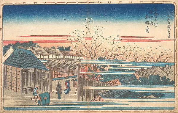 Morning Cherries at Yoshiwara. Creator: Ando Hiroshige